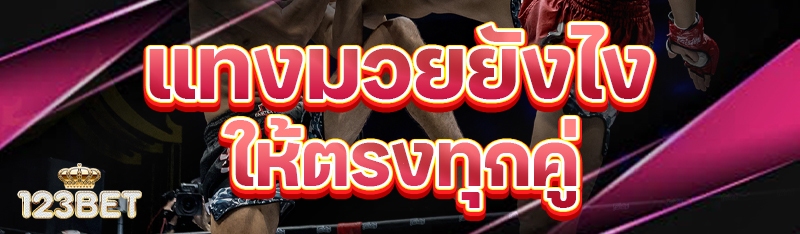 แทงมวยยังไงให้ตรงทุกคู่