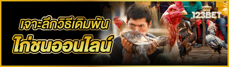 เจาะลึกวิธีเดิมพันไก่ชนออนไลน์  